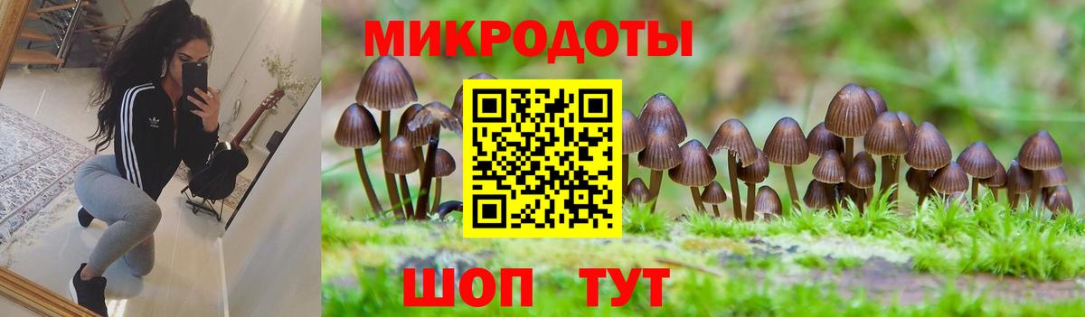 Псилоцибиновые грибы прущие грибы  цена   Псилоцибиновые грибы MAGIC MUSHROOMS  Советская Гавань  Вход с VPN 